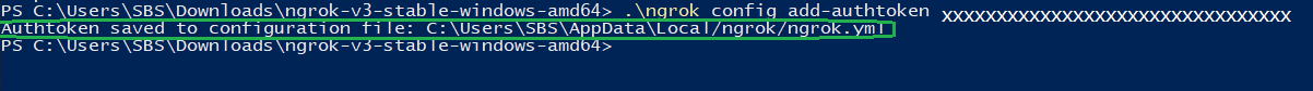 Configuring ngrok on Windows powershell 